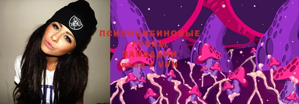 прущая мука Инсар