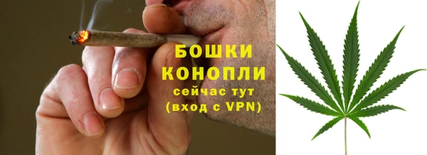 прущая мука Инсар
